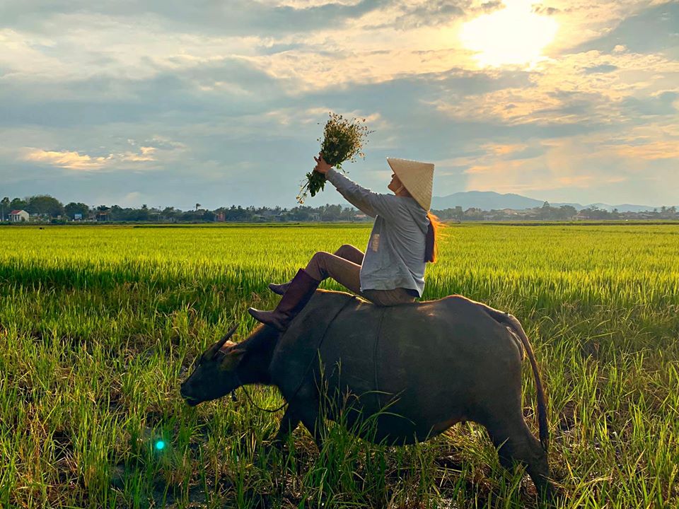 Lưu ý khi đánh lô đề dựa theo giấc mơ thấy trâu